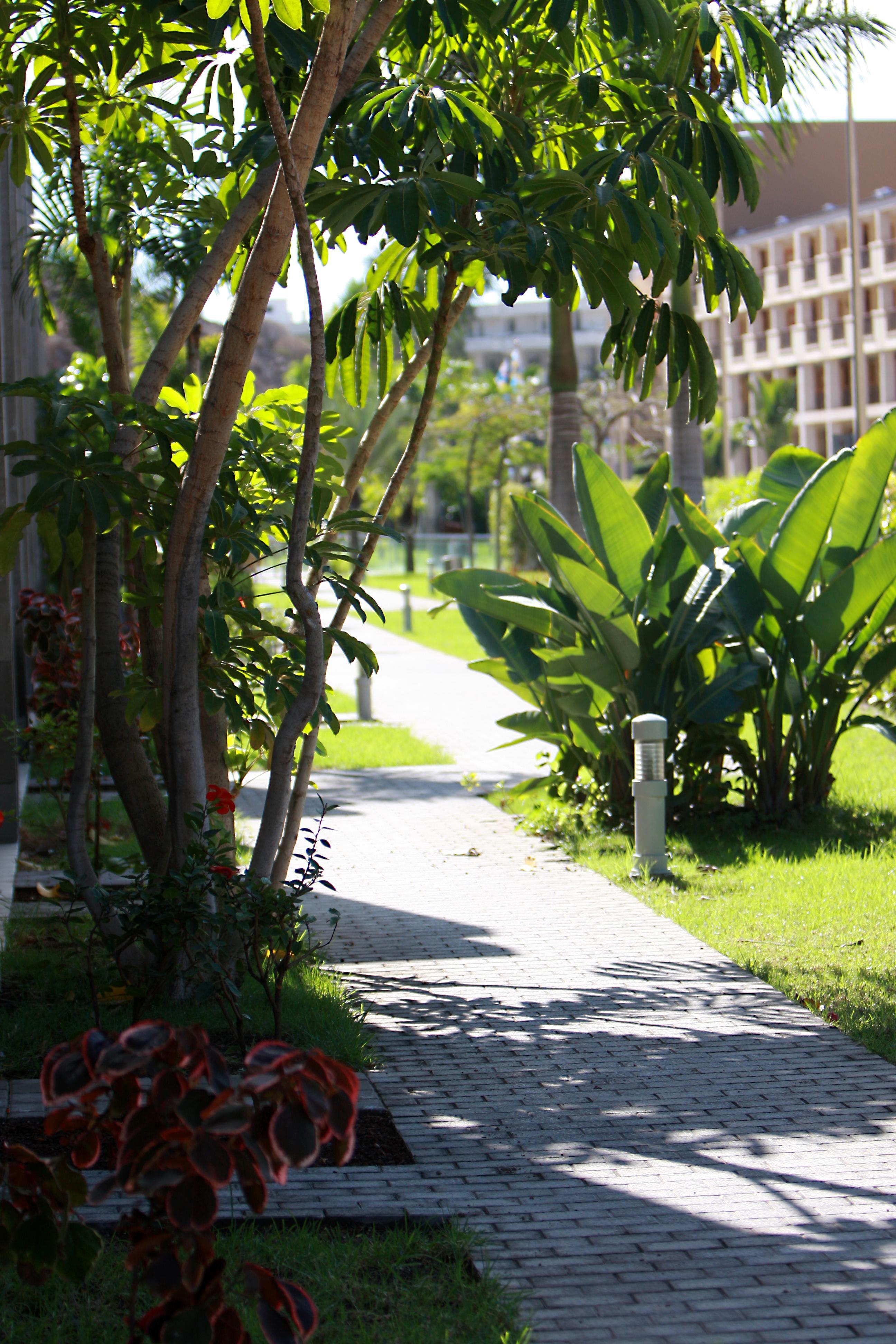 Hotel Livvo Costa Taurito & Aquapark (Adults Only) Bagian luar foto